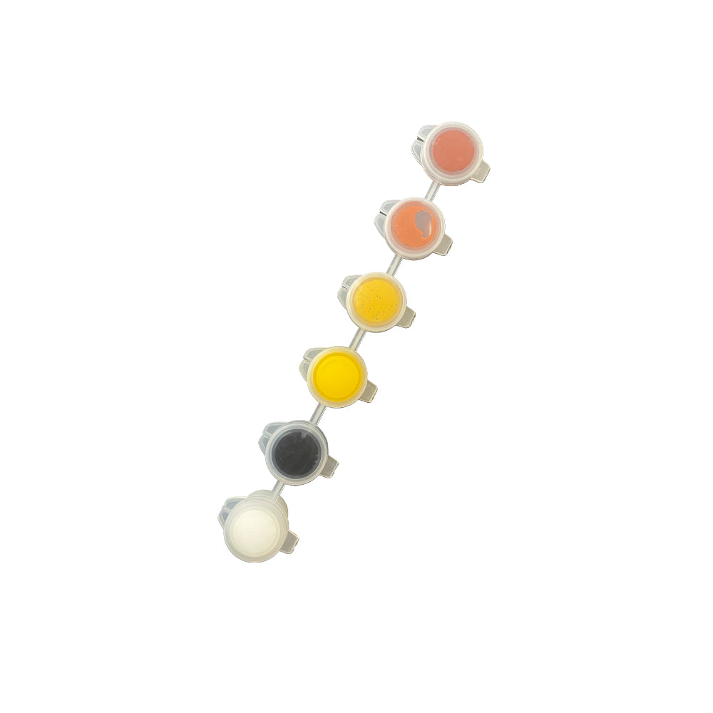 Set di pigmenti Jesmonite 6 colori naturali – 6 x 2 g