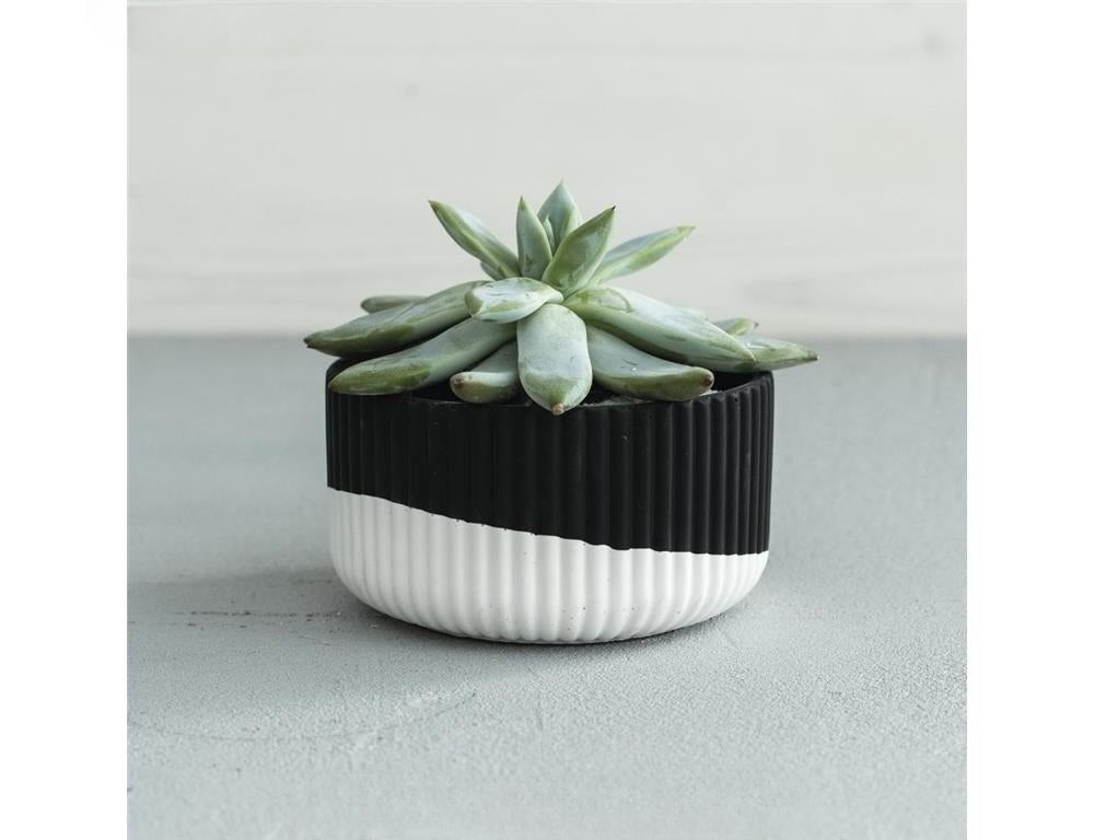 Raysin 250 Praf Ceramic de turnare Negru - eMaterial